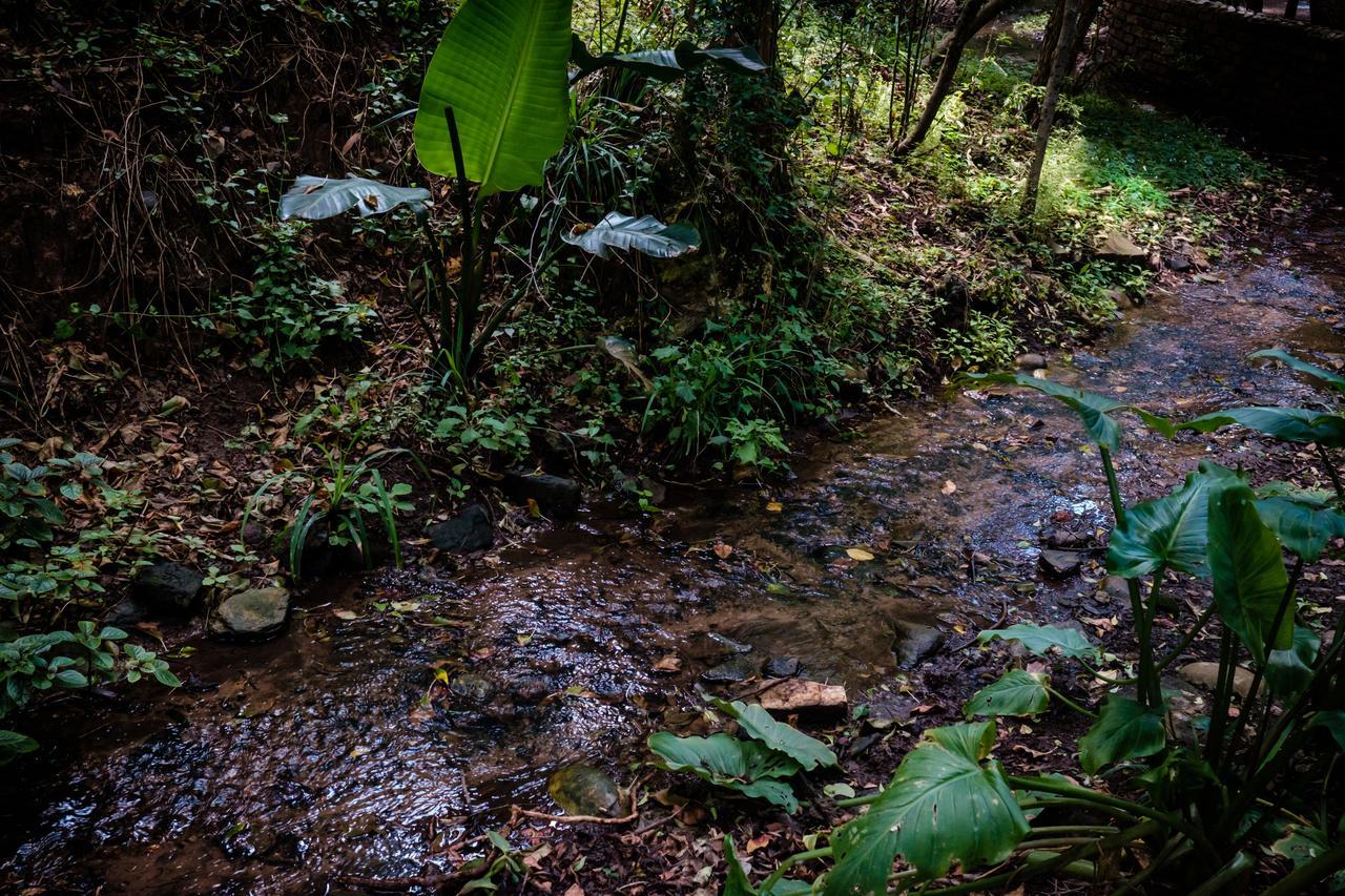 Cinnamon Boutique Pensión Wilderness Exterior foto